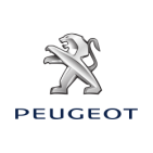 Reprogramación de Centralita Peugeot Race Chip